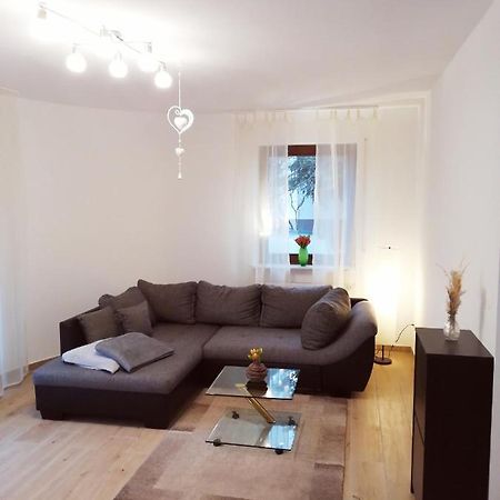 Ebenerdige Ferienwohnung Mit Grosser Terrasse In Der Naehe Des Waldes, Zum Wohlfuehlen Schoneck ภายนอก รูปภาพ