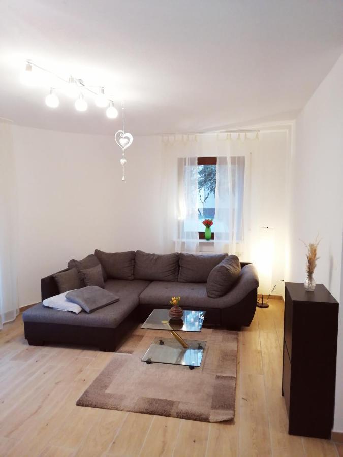 Ebenerdige Ferienwohnung Mit Grosser Terrasse In Der Naehe Des Waldes, Zum Wohlfuehlen Schoneck ภายนอก รูปภาพ